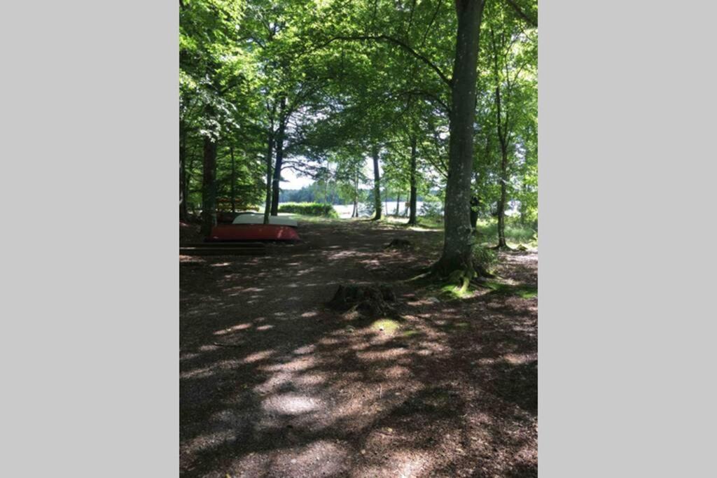 Very Nice Cottage By The Lake. Lursjoen! Hästveda エクステリア 写真